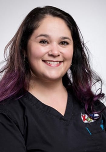 Chiropractic Canton MI Tiffany Willis LMT Chiropractic Canton MI Tiffany Willis LMT